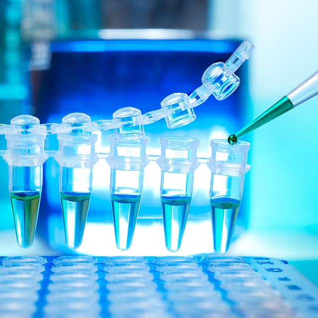 四甲基二丙三胺，確保聚氨酯泡沫的快速起發(fā)和均勻發(fā)泡膨脹