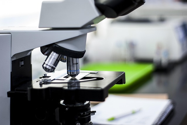 高回彈微孔聚氨酯彈性體 dpa，專(zhuān)為高端緩沖、減震應(yīng)用設(shè)計(jì)